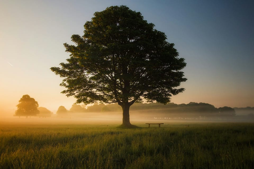 The Sacred Pause: How to Stop Letting Emotion Lead