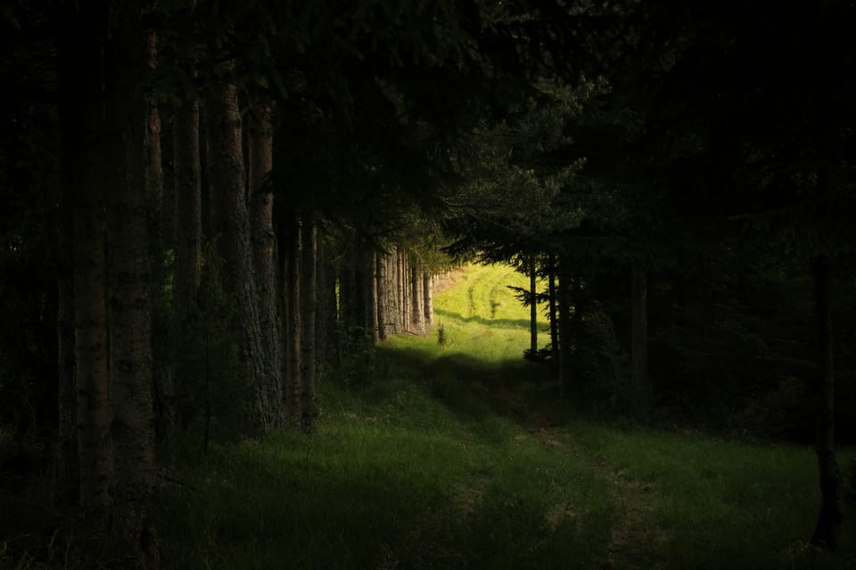 Online Outrage and the Slow Death of Inner Peace